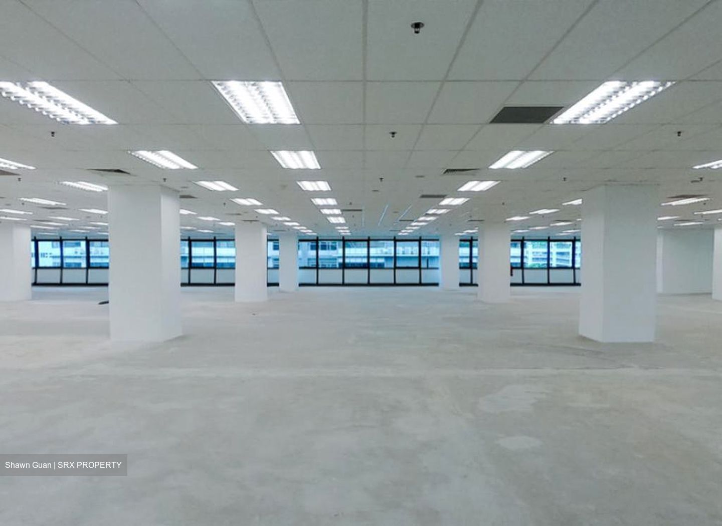 Bendemeer Road (D12), Office #570942401